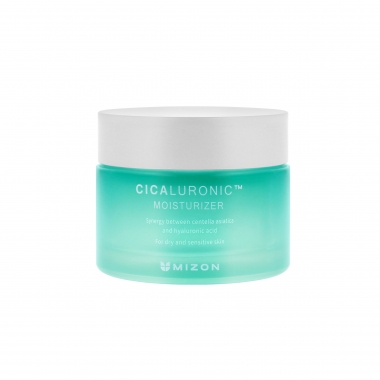 Cicaluronic Moisturizer.jpg