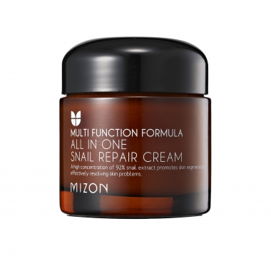 8809587520664 Mizon All in One Snail Cream_site.jpg