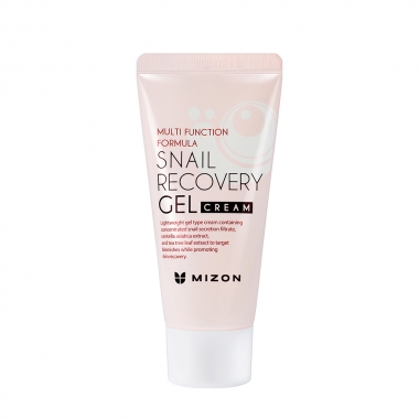 Snail Recovery Gel Cream product 01.jpg