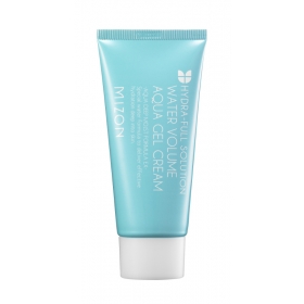 Mizon Water Volume Aqua Gel Cream - niisutav geel-kreem